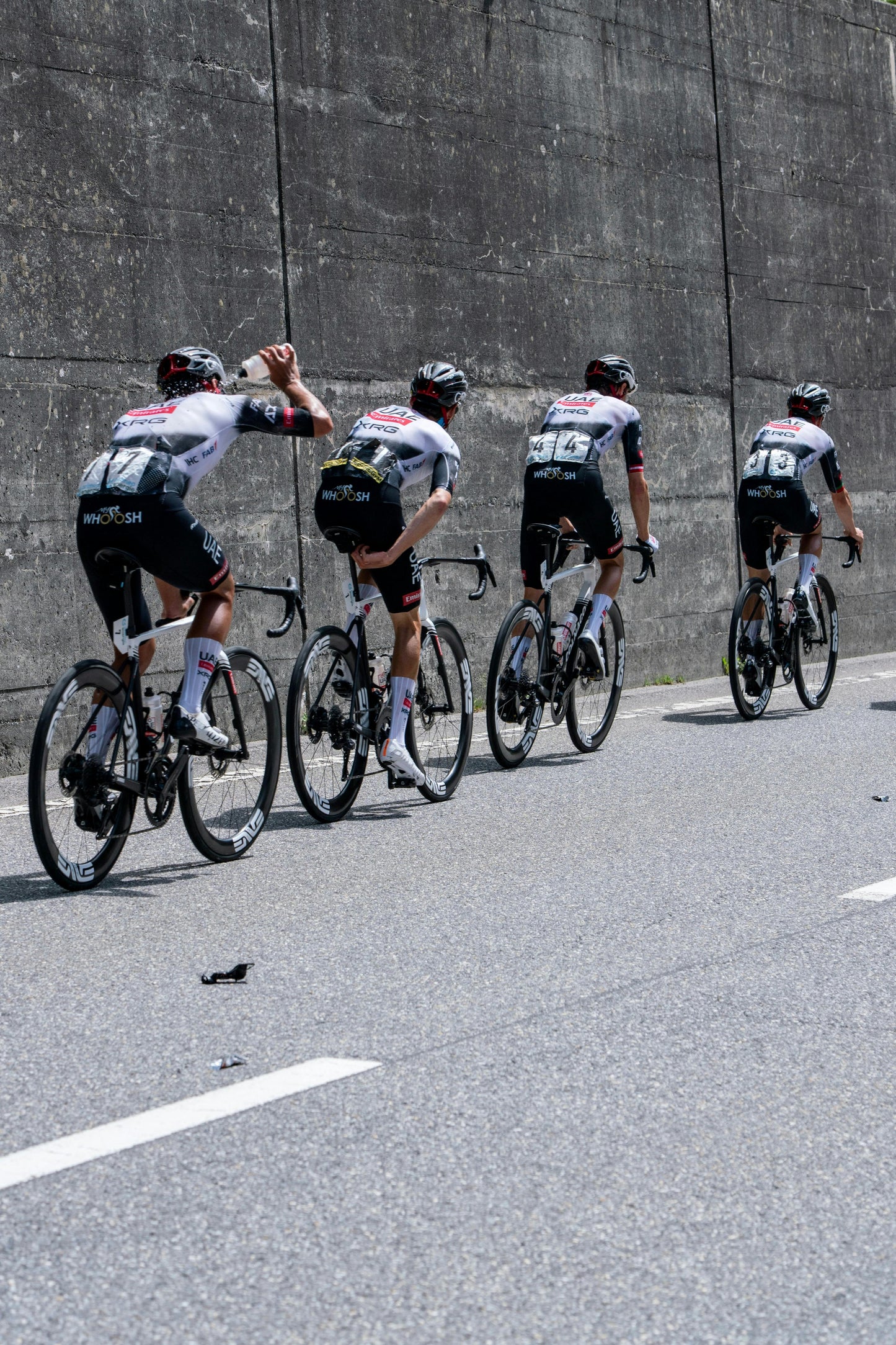 Elite Coaching | Training, Nutrition & Integration